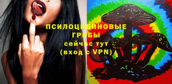СК Лиски
