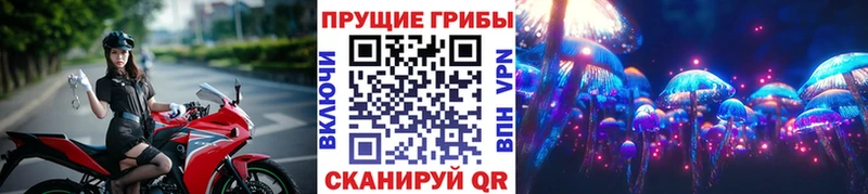 Купить где  Красновишерск  Псилоцибиновые грибы Psilocybine cubensis 